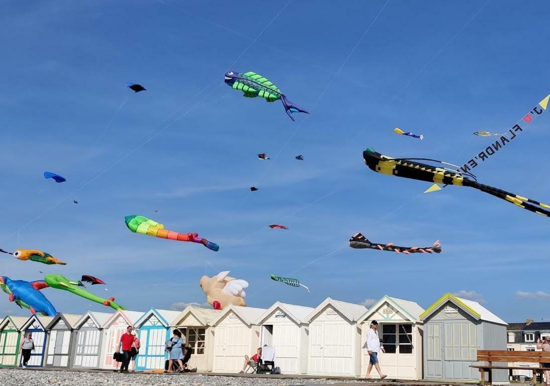 Studio "Gris Galet" Au 2Eme Etage, A 200M De La Plage Cayeux-sur-Mer Eksteriør billede